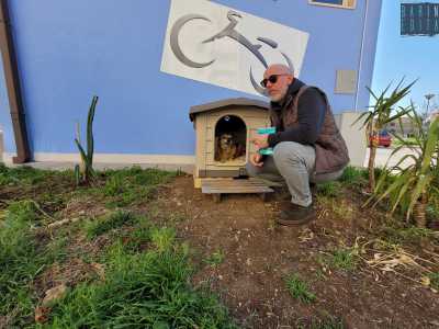 Wally � infatti un �cane di quartiere�: una figura ufficializzata da una legge del 2001 che permette agli animali di venire adottati ufficialmente dai residenti di un condominio o di una precisa area cittadina